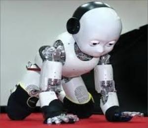 Cognitive Development of Robots ....